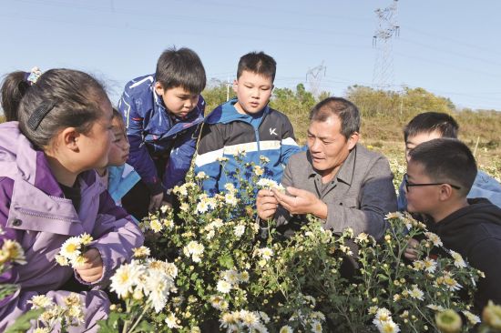 e7da702a-7385-422a-a970-04b075597033