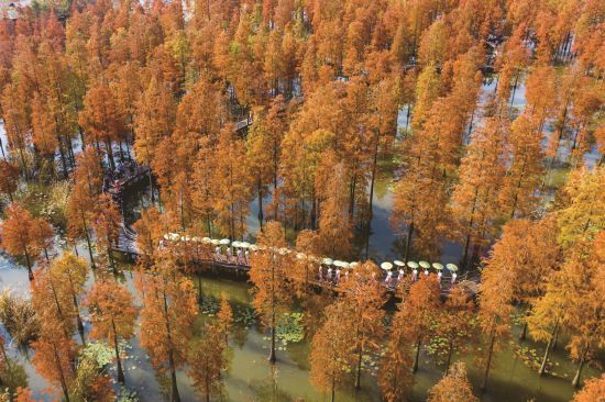 c24a050b-9eea-4322-9283-05c821441591