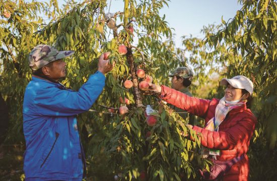 5db86ccd-b89e-4845-84aa-683ee12f5b7d