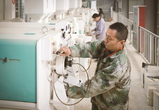 f7bffed1-77ad-4520-ac86-a73b515ea513