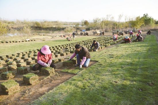 b0f21562-704b-414f-9cec-5d193492b9c2