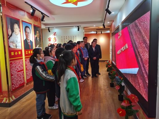 观看《中国共产党章程》介绍视频 图片来源：湖心路小学