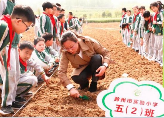 种植体验 图片来源：实验小学