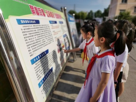 202106251449223812_l2bPIBPB_600x450