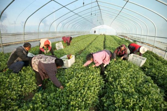 LOCAL202111291630000347547146092