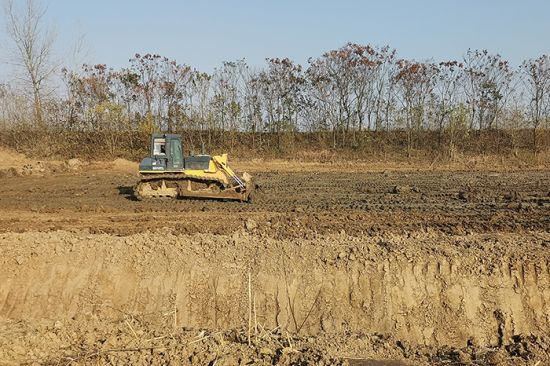 LOCAL202111291641000169640033842