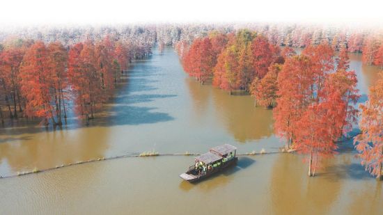 2fd0d0d2-831f-4f11-bb8c-e4397c6bd9f7