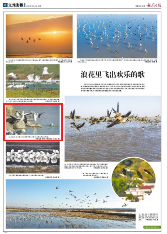 （《安徽日报》2021年12月6日8版）