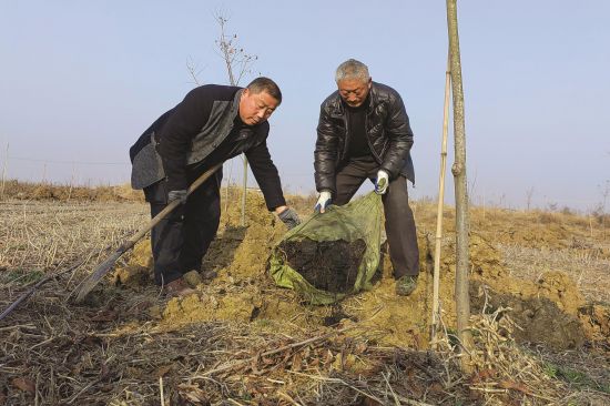 568c0640-5c9b-4950-8641-5c96a911f1f3