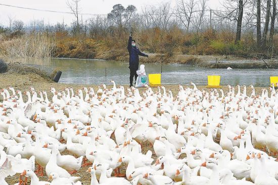 4c49547b-8ec4-4026-a720-eb4d328bdaf6