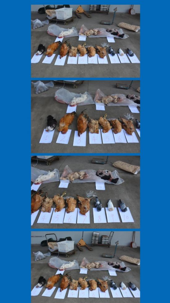 微信图片_20211229094353