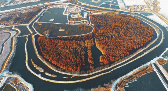 瑞雪掩映池杉湖(二等奖) 徐 斌/摄