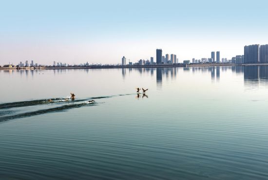 0f801d8d-a3f7-4304-b4ab-1d5d68b2664a