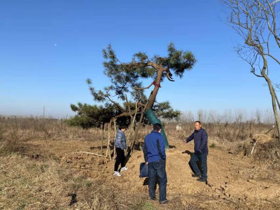 LOCAL202202081124000211612200695