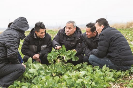 ca1375ed-e544-4a15-a729-156442c8ba0a