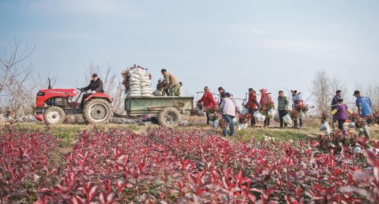 b2a32ad5-337a-4642-be8a-1f37b806666c