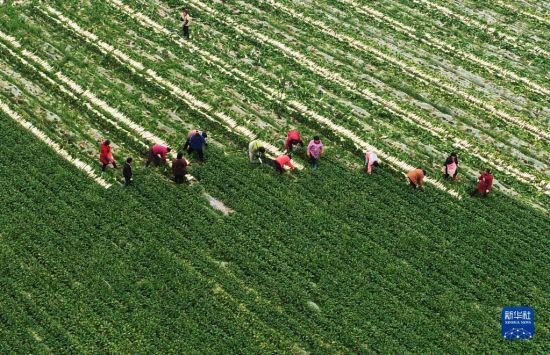 1128424294_16460541555021n