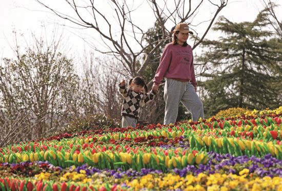 d9c19f03-9a10-4d22-8d84-41819044b72e