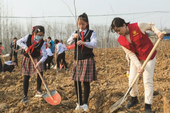 99e8e7bf-0a0c-4a79-b4b4-f0b2b0c7b12a