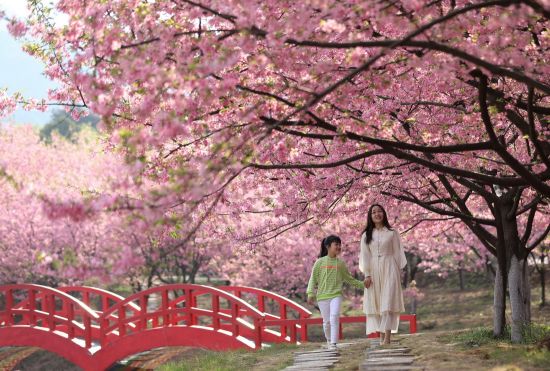 MAIN202203131020000108642650297