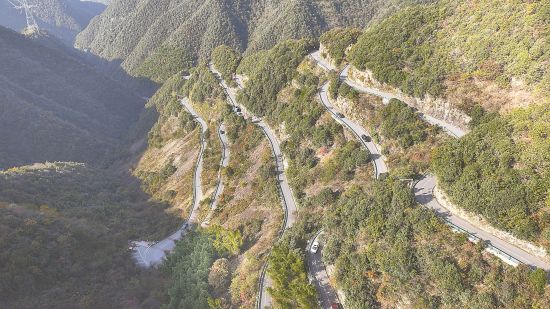 535722_8933037a-40fc-42d5-92ce-13336a502413copy