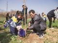 义务植树 播撒绿色