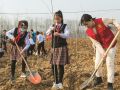 义务植树 播撒绿色