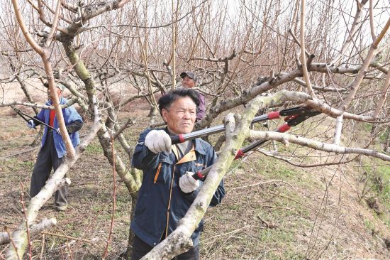 9ab69b24-44cd-4828-969e-e909873ca19c