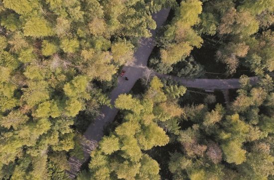 b60659cc-71c0-4cb8-954e-3d8b308a6b0d