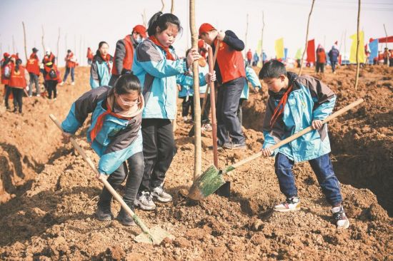 d8b1b2f4-10b1-47b7-b02f-03077d88ce61