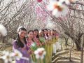 踏青赏花享春光