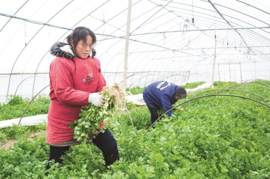 7a301311-08db-4e08-b374-ade7c6ec3b44