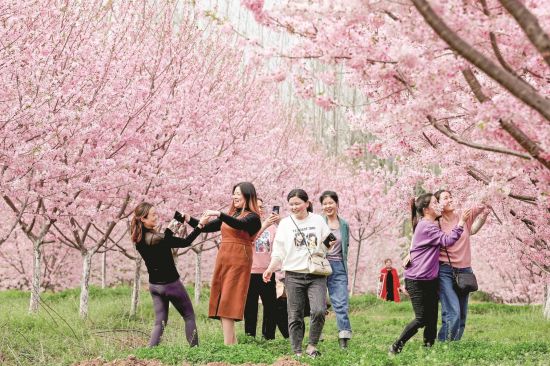 c2a0f9c3-a2e3-46b0-b0a0-cf229437ddd6