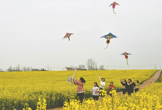 65c1ac71-20ee-4509-a2bf-4b786f019321