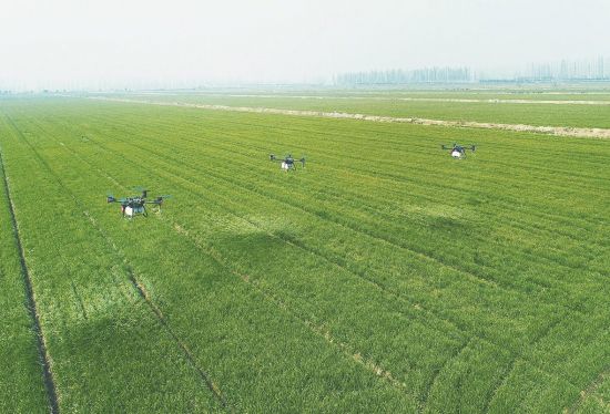 2ba70f80-f9d8-4f5c-b724-93f3a467b40c