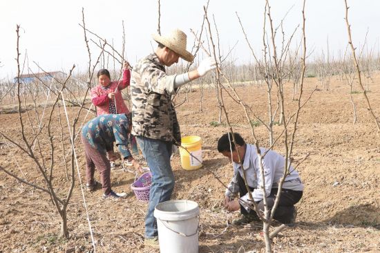 6c92d690-154f-4936-9663-37e4a5502661