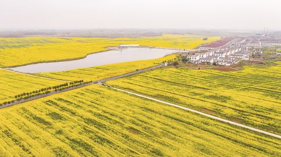 631c8b05-b2fa-453e-b95d-22ba7ba5710d