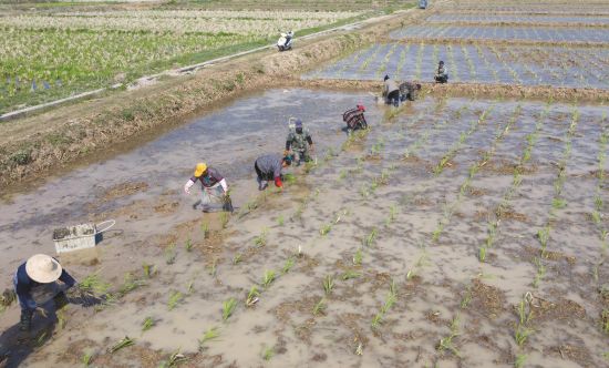 1403dc85-1eba-4db4-8496-ffbdc3ffdf97