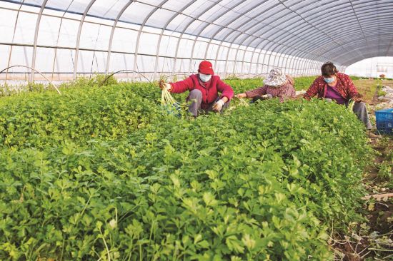 72952093-b1af-493e-b99c-258c4ebb816a