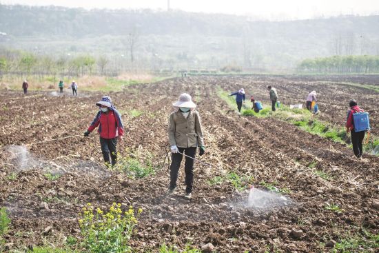 c74bccb9-6dd0-43ba-bbbb-28d35e8adb00