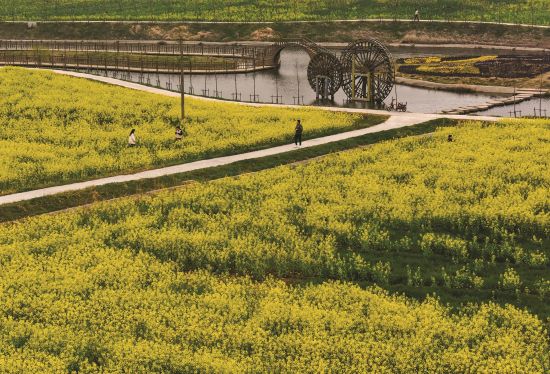 771d0d4e-0a8e-441a-8597-56eac19d7462