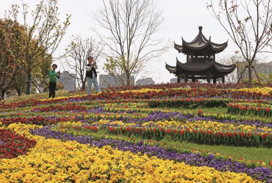 5d4b4815-6869-4632-8c38-f6c9bed28948