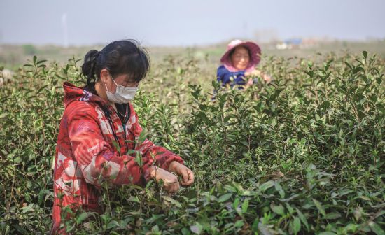 58f89755-03d6-4b36-b121-168690a127c2