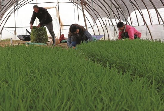 1b64a537-e662-4ef5-984e-4bc87dcec0e5