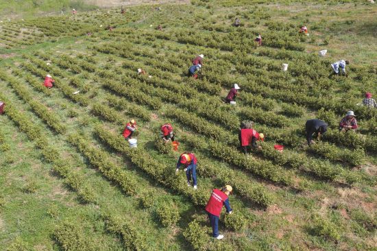 a50049aa-fb0c-473a-b106-9a32ff1e432f