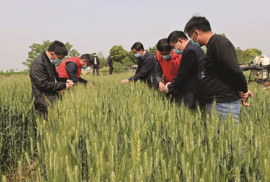 c029174f-3ca4-42ea-9734-899f9c14c42b