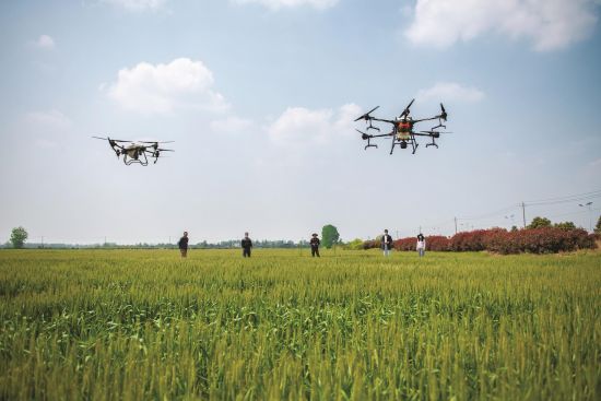 55bf90ee-0017-4b64-9df5-d0e354b4f907