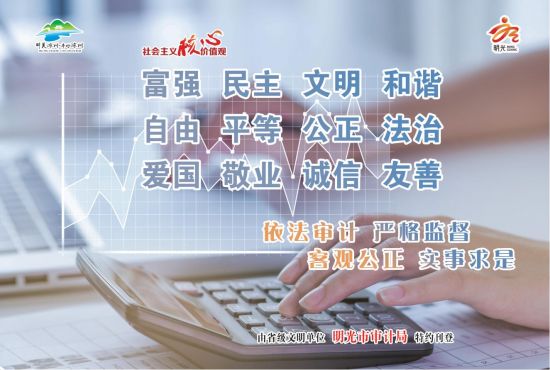 12.1-12版-明光市审计局