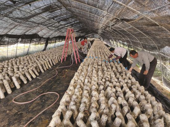 8c815932-2cc3-4892-bdc8-cfd5911478cf