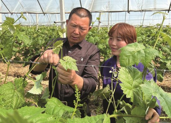 a95e9761-451e-4309-a5ba-6b853776b630_看图王